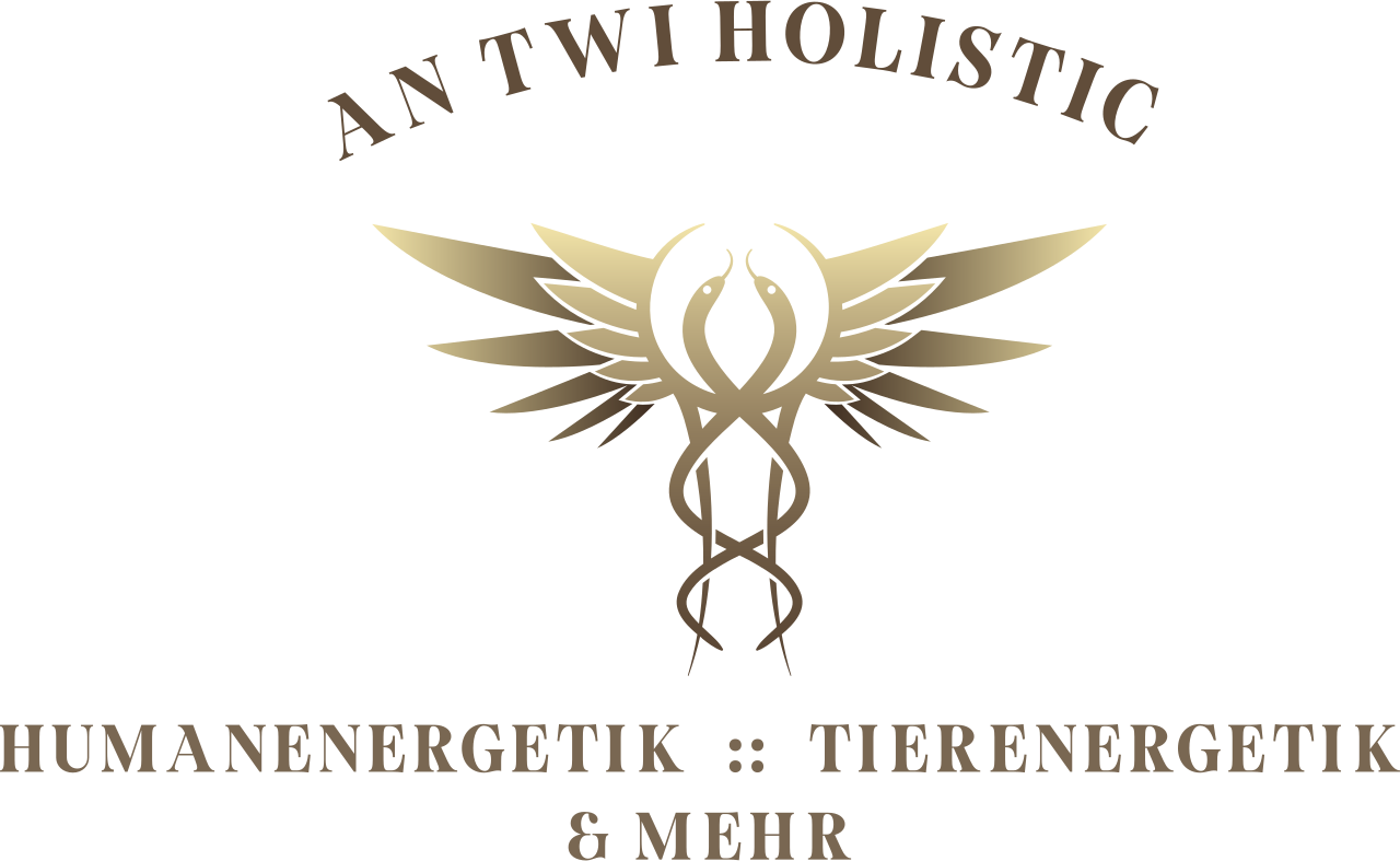AN TWI HOLISTIC